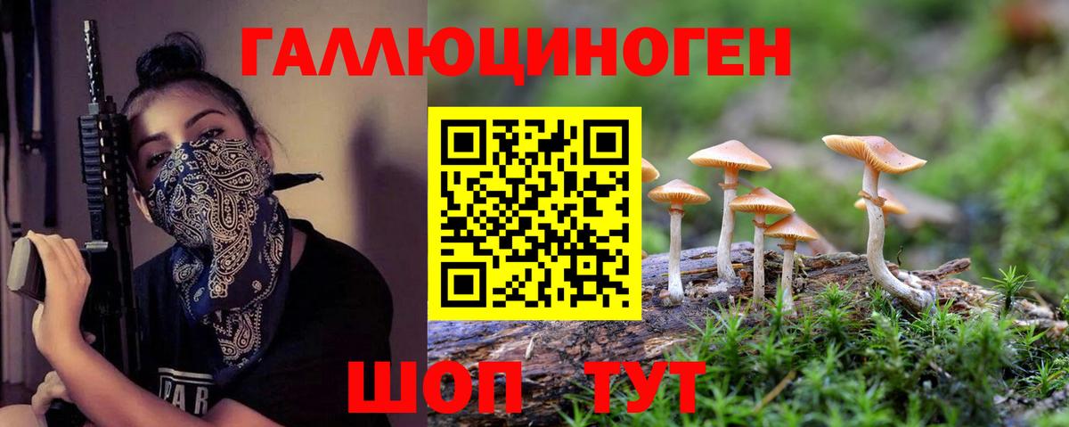 Галлюциногенные грибы Psilocybine cubensis Гуково